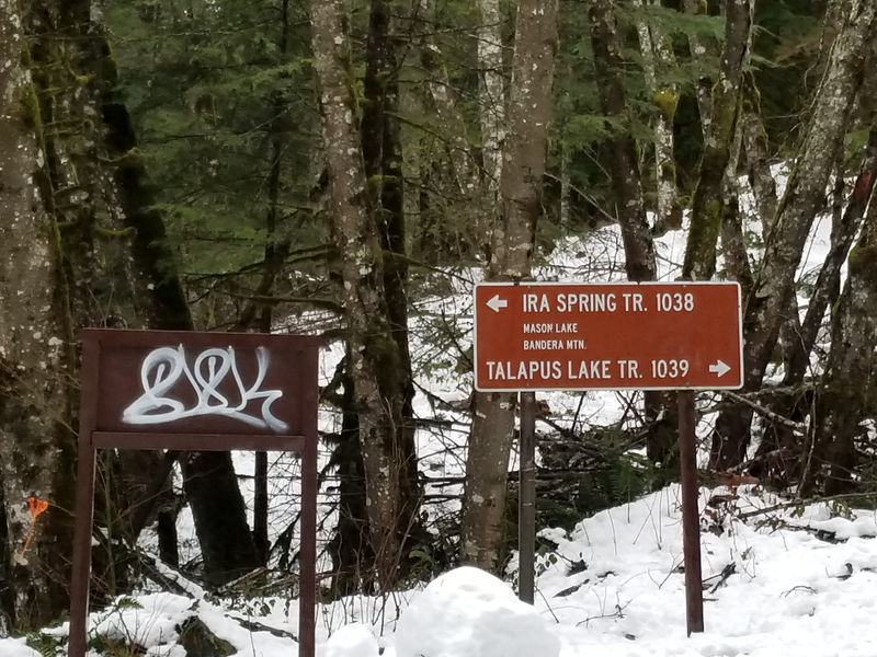 I was on the Talapus lake trail. Ira springs looked nice, I’ll try that at some point